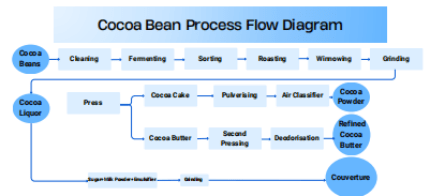 Cocoa bean full process flow